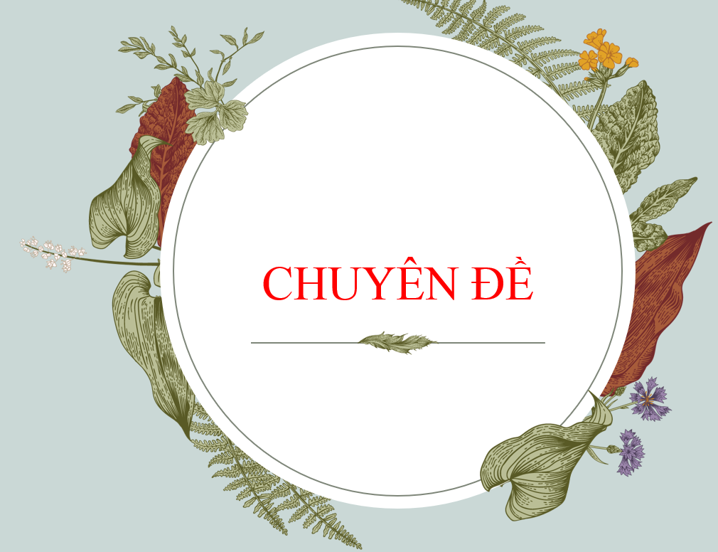 KẾ HOẠCH TỔ CHỨC CHUYÊN ĐỀ TỔ TN